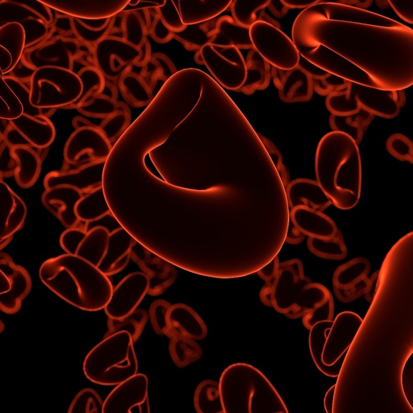 Meet your Posher, Daniel - Picture 1 of 1